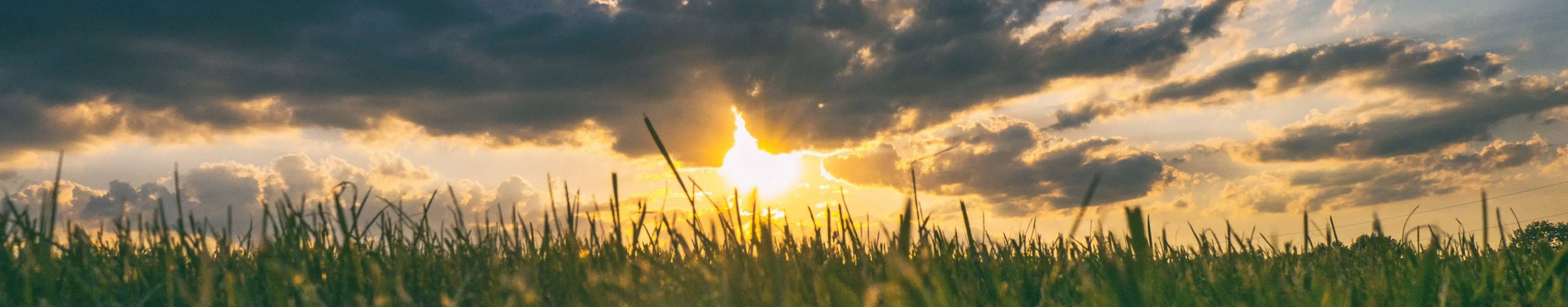 Sunrise in the horizon